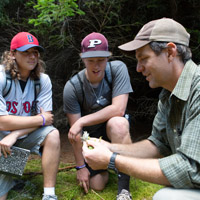 students studying plant life in the forest