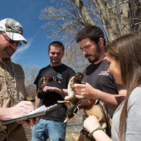 students tagging ducks for class